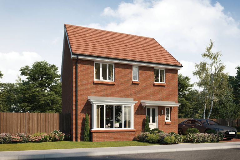 Property 2 of 10. CGI