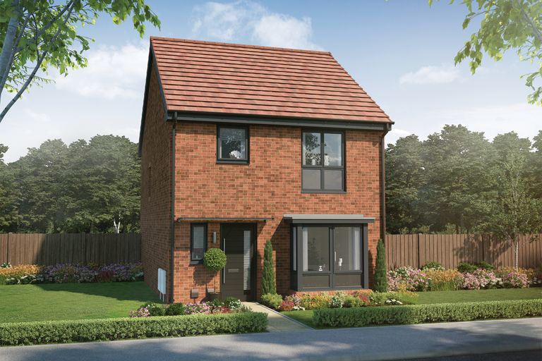 Property 1 of 10. CGI