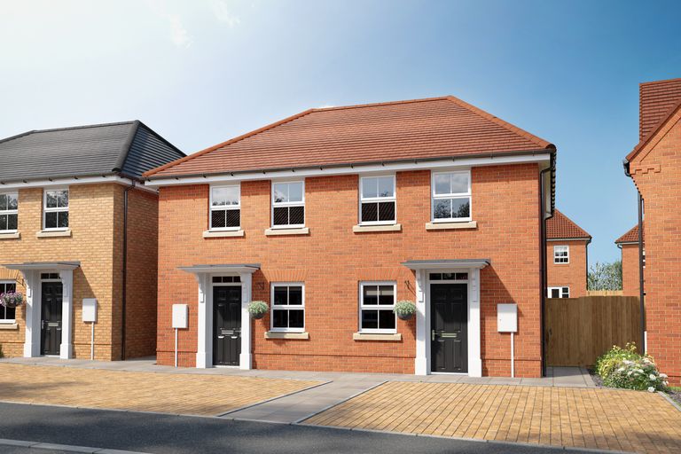 Property 1 of 10. Primrose CGI