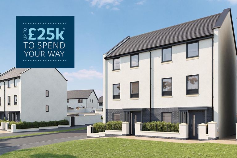 Property 1 of 8. £25K To Spend Your Way Sherford Bovis