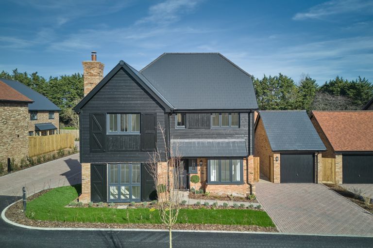 Property 1 of 12. Juniper