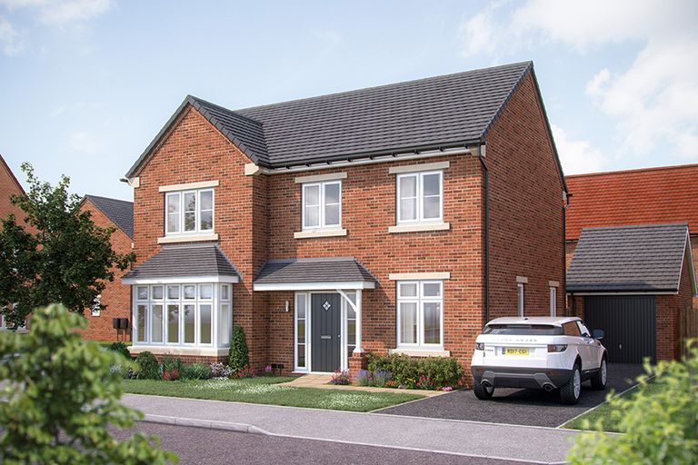 Property 1 of 11. Maple CGI