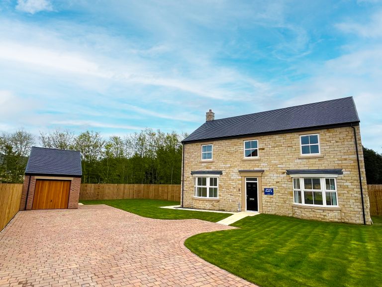 Property 3 of 16. Rose Plot 5 External