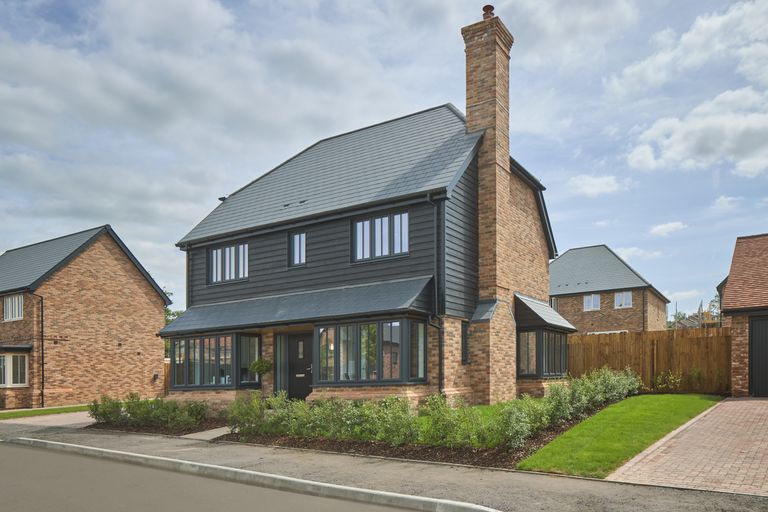 Property 1 of 14. Lime