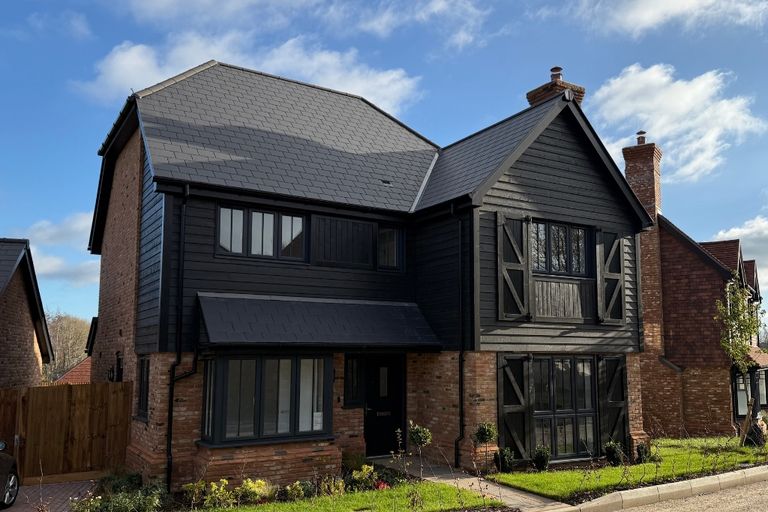 Property 1 of 12. Juniper