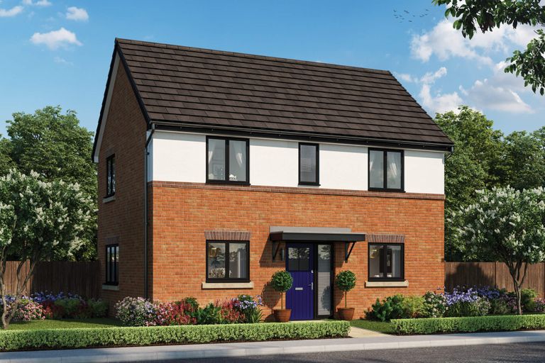 Property 1 of 10. CGI