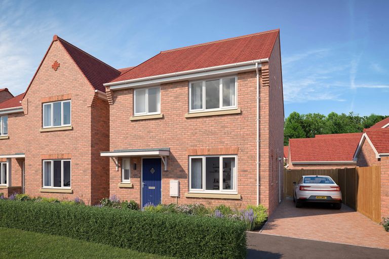 Property 1 of 14. CGI