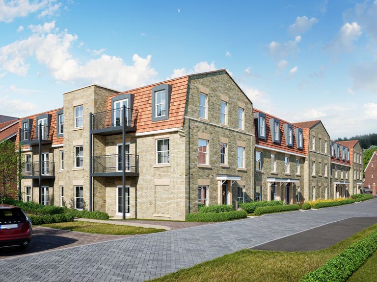 Property 2 of 14. CGI