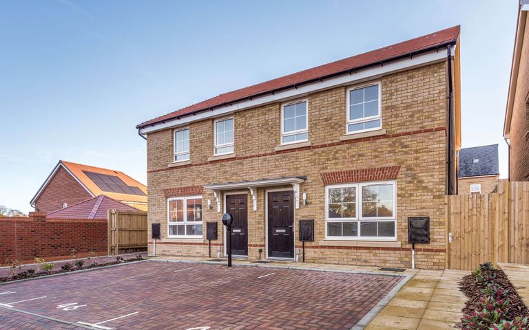 Property 1 of 3. The Violet 