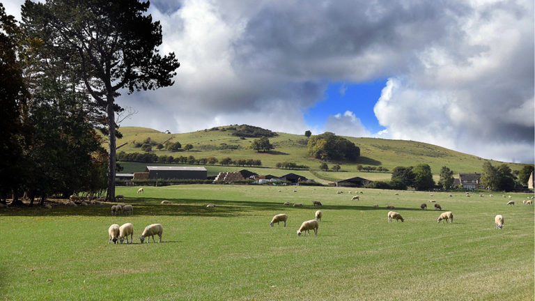 Property 3 of 16. Plot Image