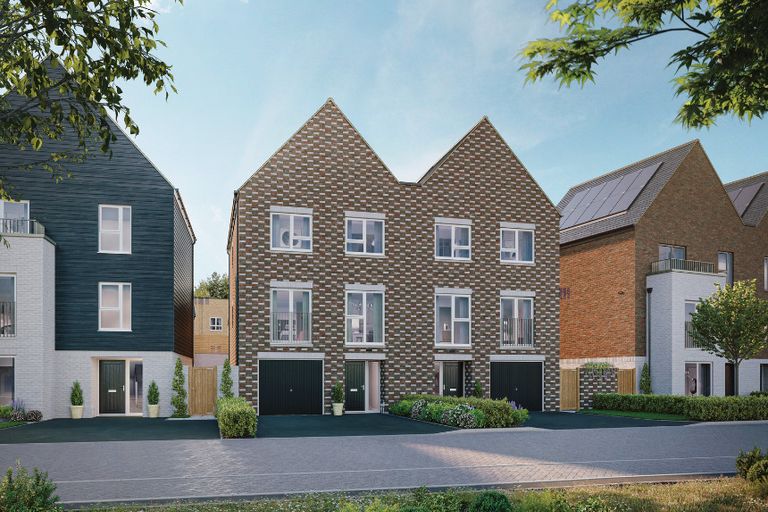 Property 1 of 6. The Peacock