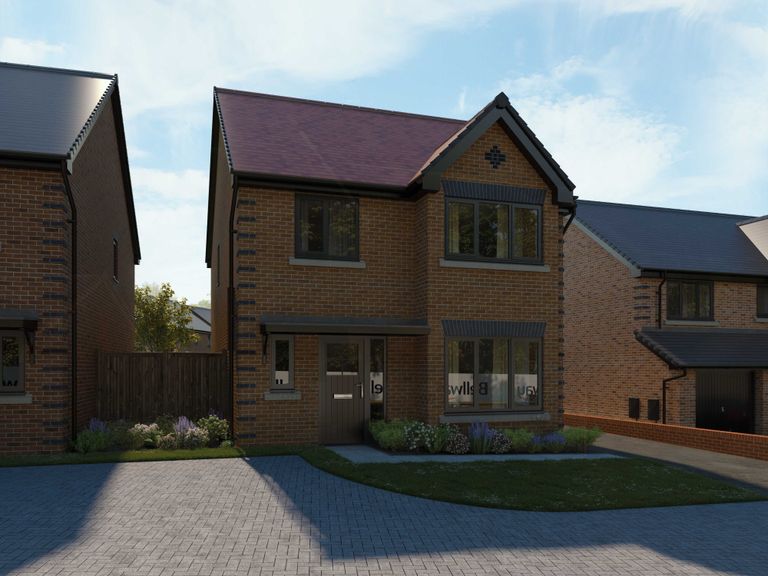 Property 1 of 11. CGI Image