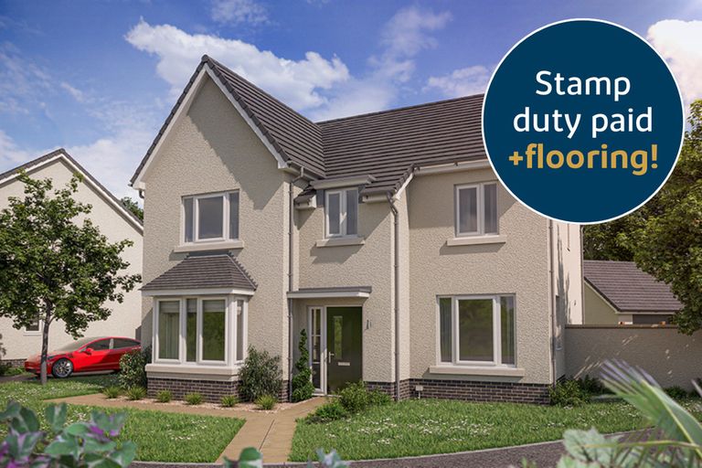 Property 1 of 11. Vdsw Bh Bide Birch 119