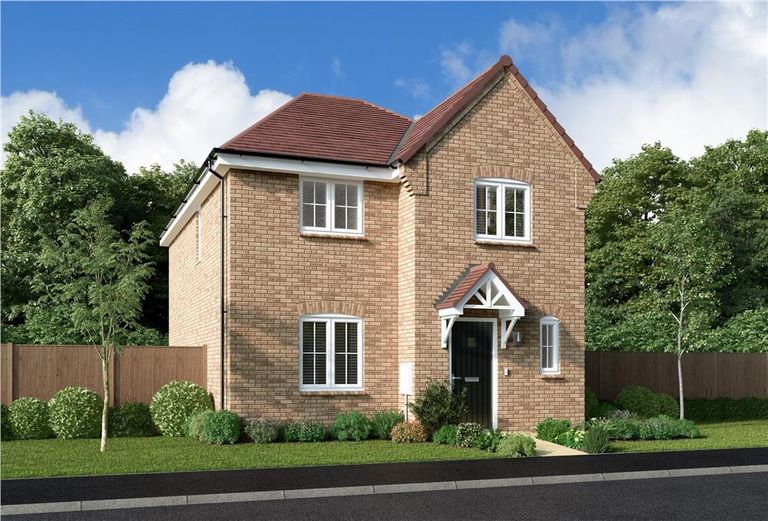 Property 1 of 13. Representative Image