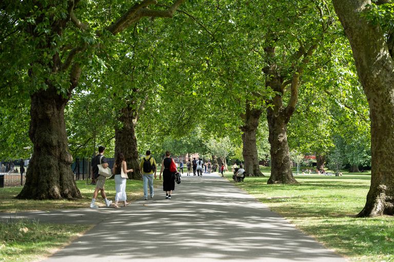 Property 3 of 11. Images