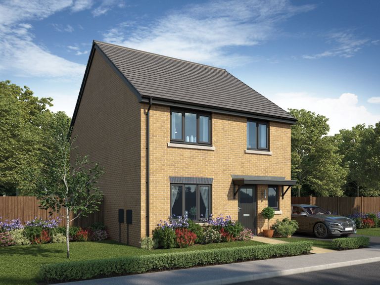 Property 1 of 12. CGI