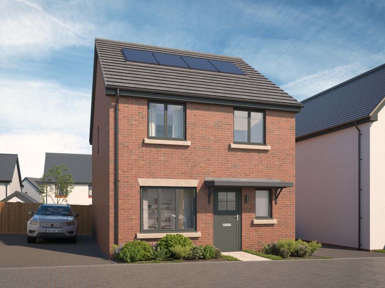Property 3 of 12. CGI