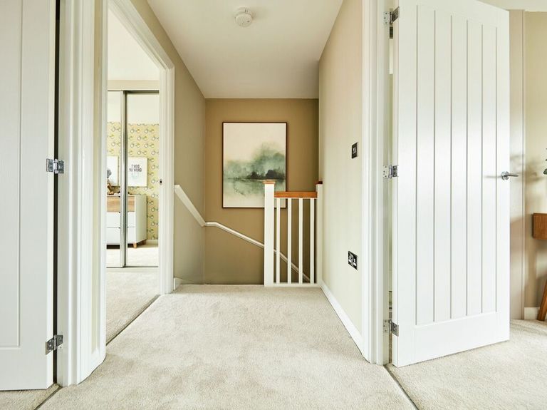 Property 3 of 9. Nmacc_Bovis_Hazel_003