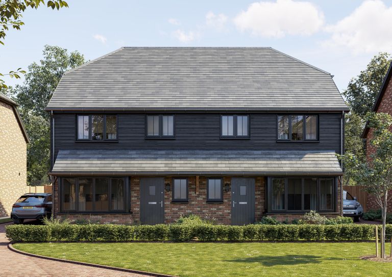 Property 1 of 16. Chestnut CGI