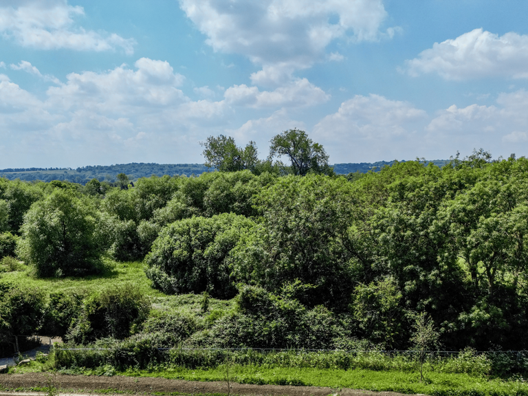 Property 3 of 17. Plot 91 - View Edited.Png