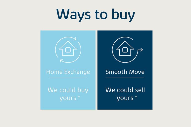 Property 2 of 2. Western Ways To Buy Graphics Bovis