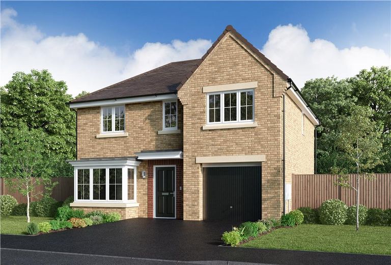 Property 1 of 12. Representative Image