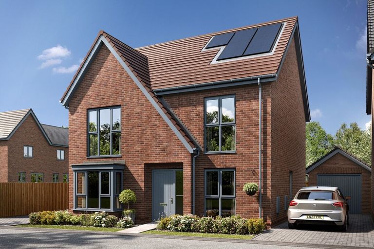 Property 1 of 11. Blackberry Plot 196