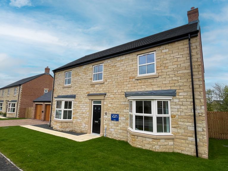 Property 2 of 17. Rose Plot 7 External