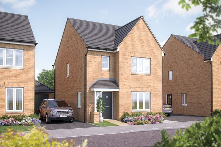 Property 1 of 9. Ds02811 Pzzzz [4] Cypress X308 Plot 30_Web