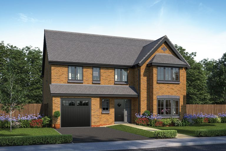 Property 1 of 18. CGI