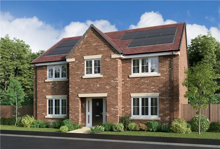 Property 1 of 17. Representative Image