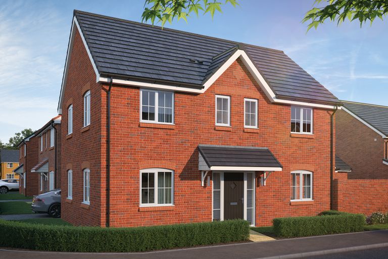 Property 2 of 19. CGI