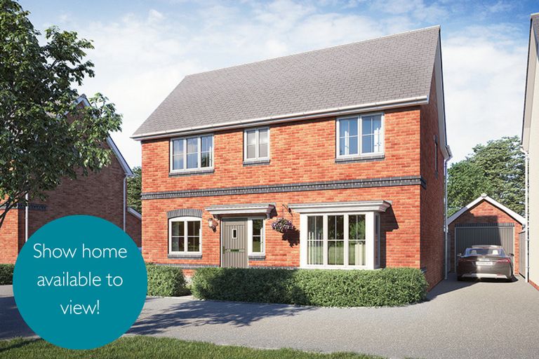 Property 1 of 11. Vdsw CH Igrove Bowmont Sh