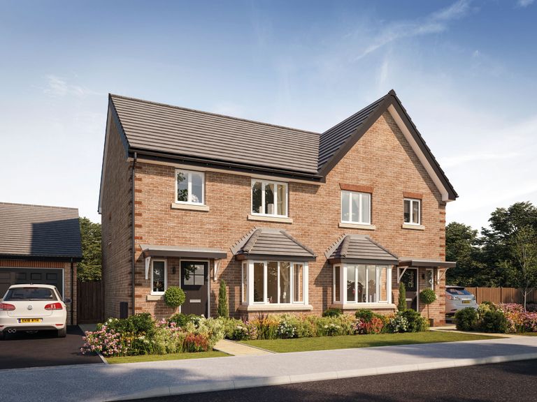 Property 1 of 14. CGI
