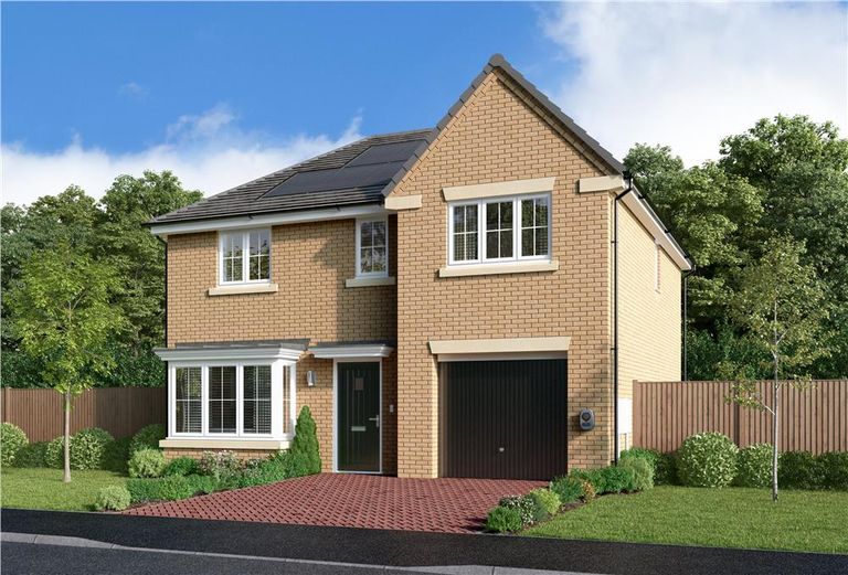 Property 1 of 12. Representative Image