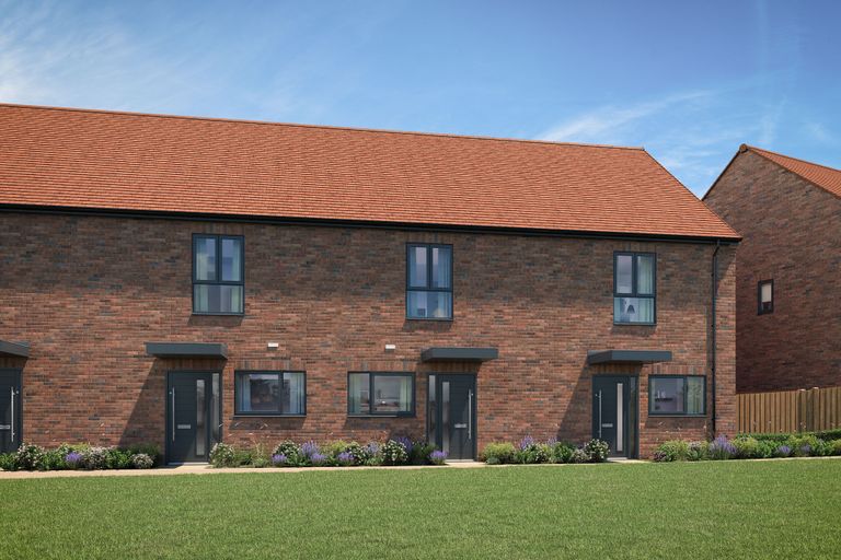 Property 1 of 18. CGI