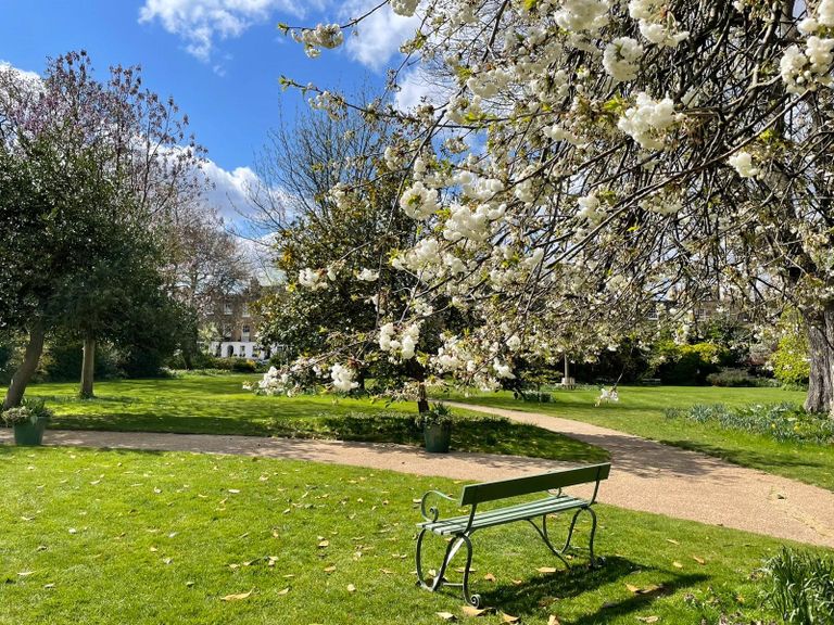 Property 1 of 16. Communal Garden