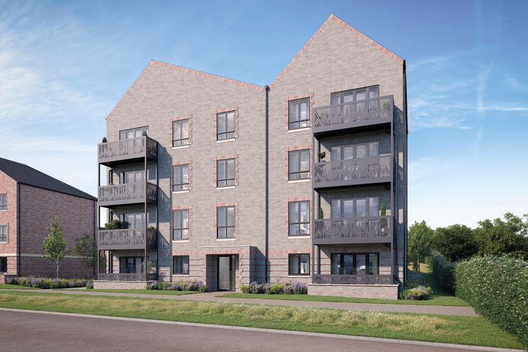 Property 1 of 1. CGI